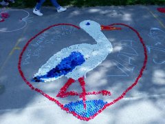IMG_20180623_160003.jpg